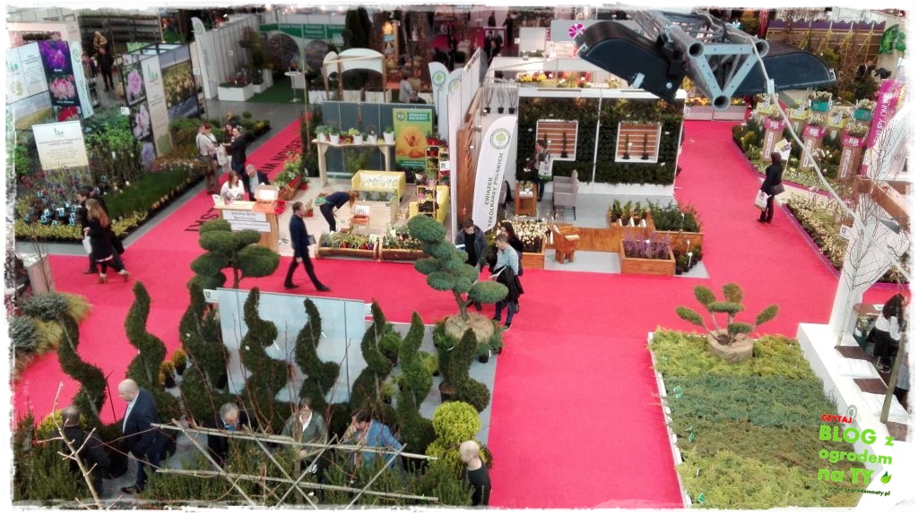 Gardenia 2016 poznań zogrodemnaty3