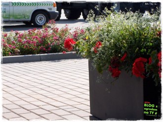 Firma ogrodnicza zogrodemnaty