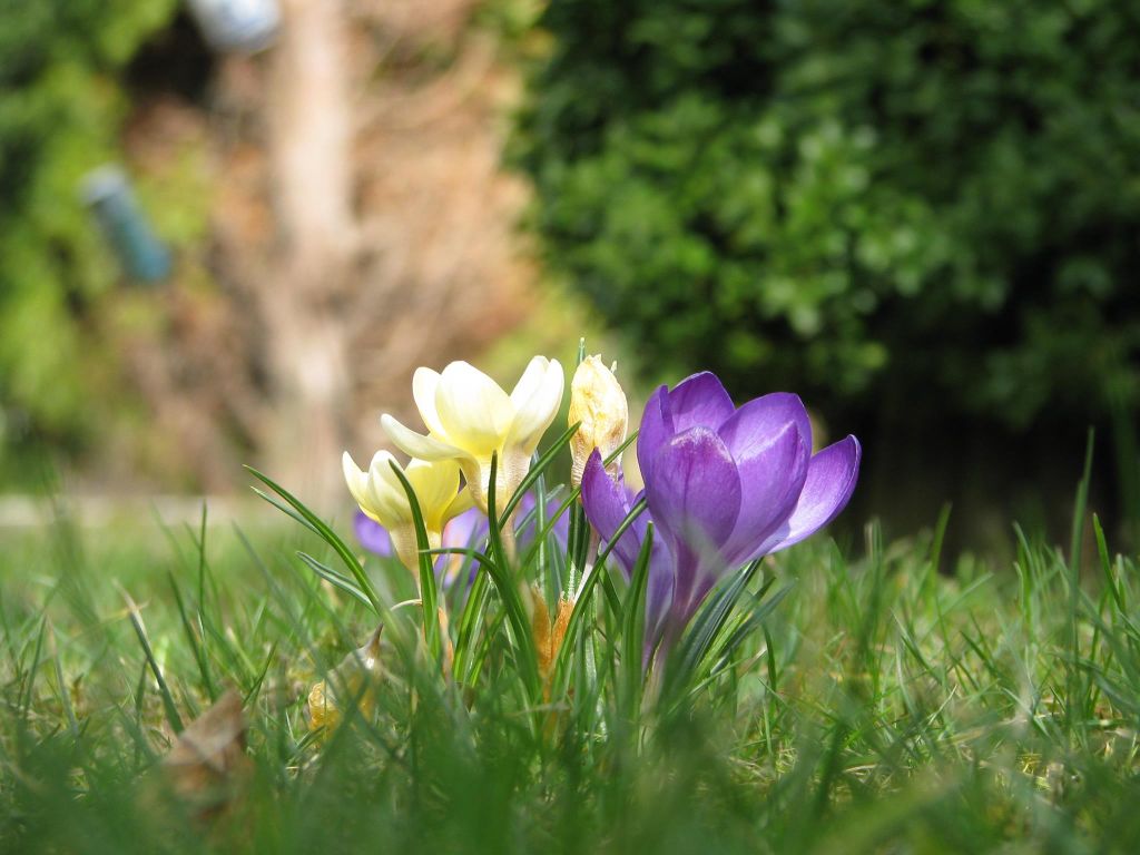 13047717_10209373117074387_2917690070491242152_o