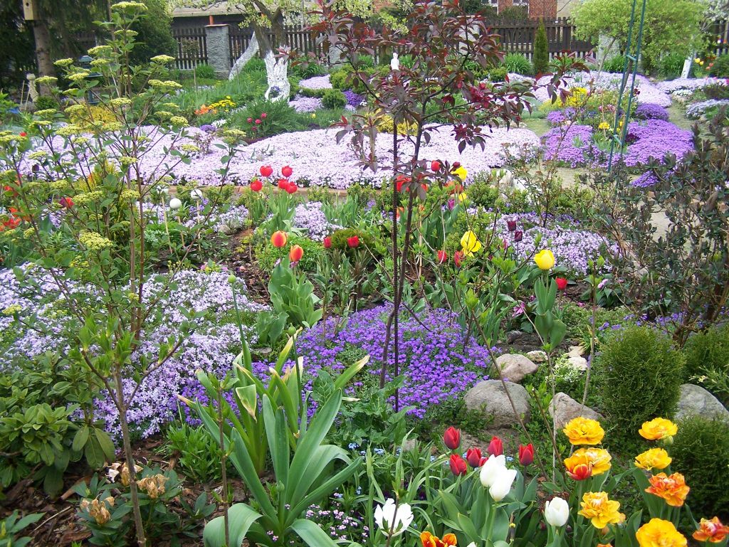 13048099_217253978654996_549477016129849070_o