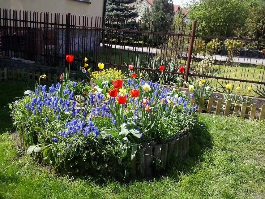 13087782_10205373696656118_3973076155832605338_n