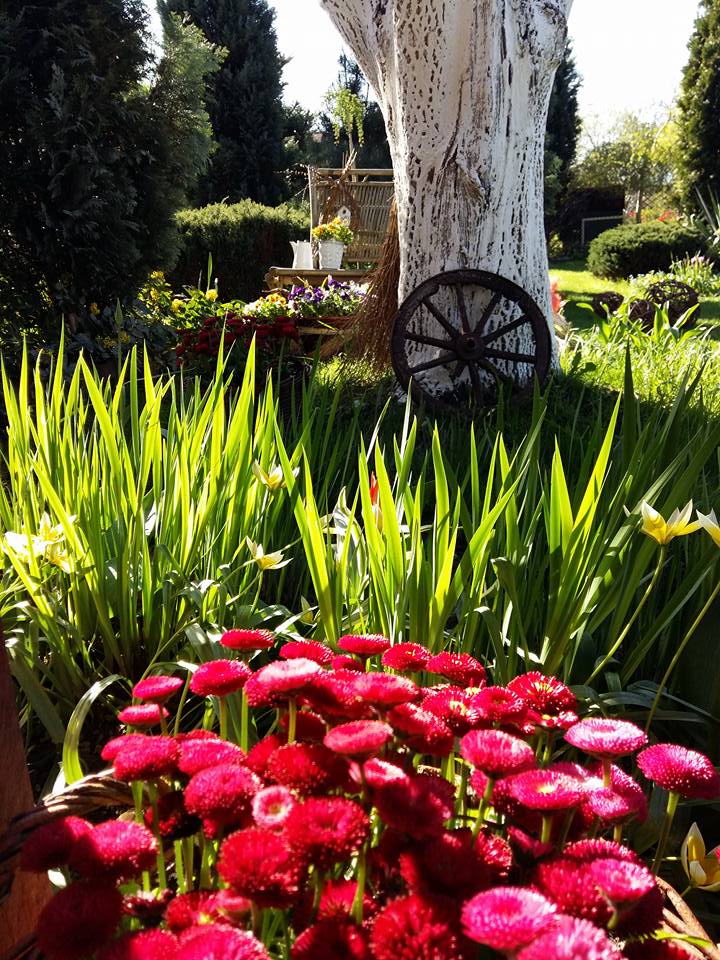 13119004_629857367163348_7705554584847460119_n