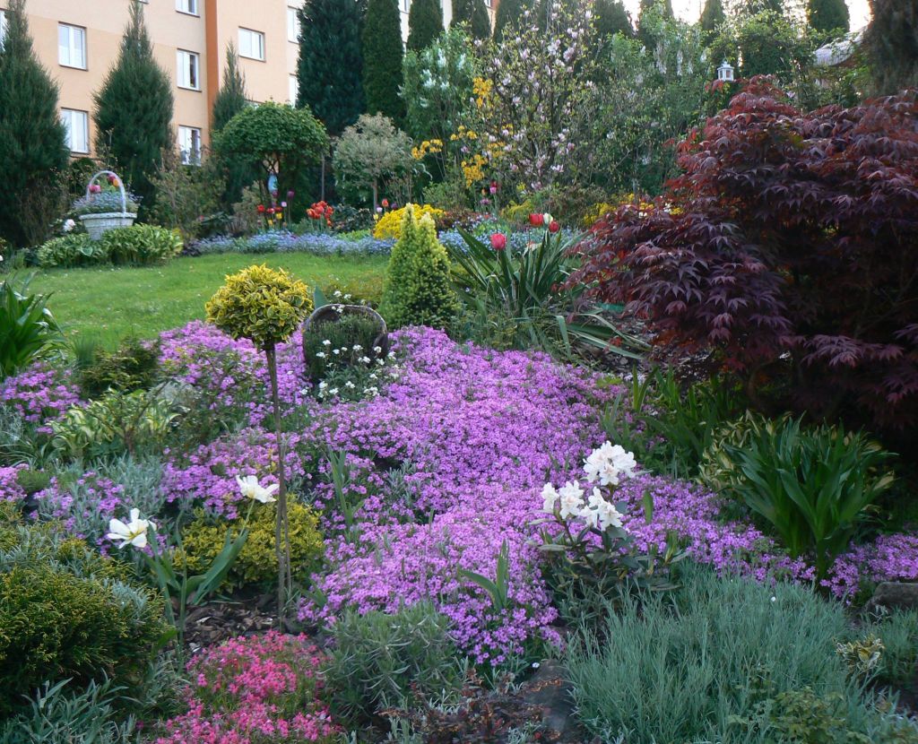 13122857_874566886004410_856839313483467028_o