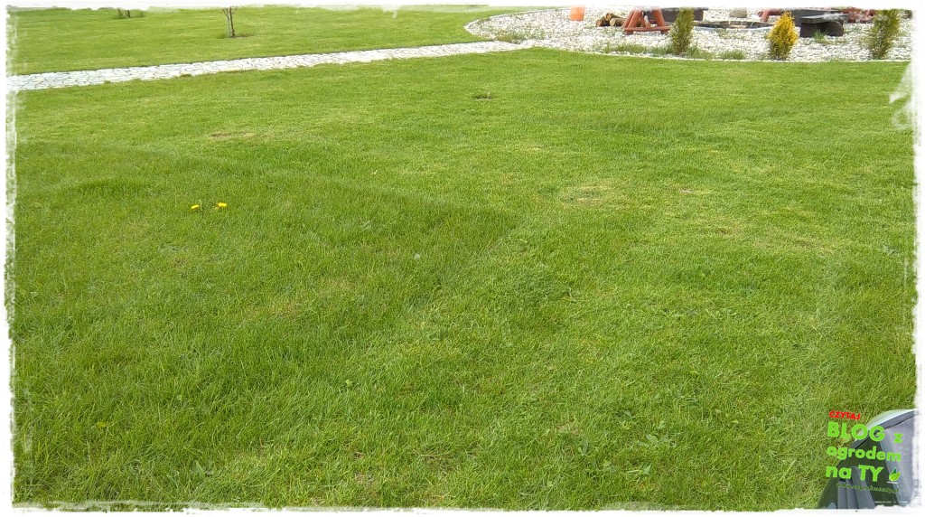 mcculloch zogrodemnaty18