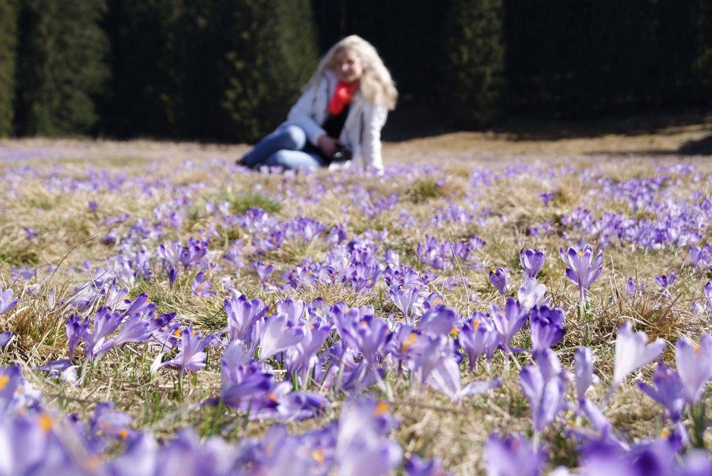 received_849372121856629