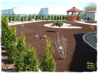 382b35019f9eceed719bdc5cd111347f