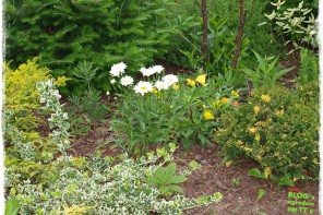 4f1c69561a075db9b5f9198b88a59fe3