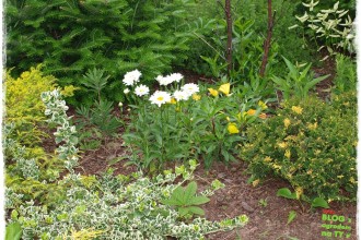 4f1c69561a075db9b5f9198b88a59fe3