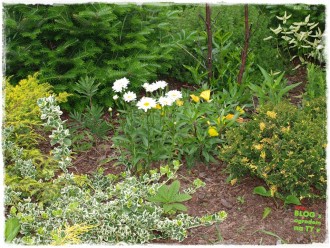 4f1c69561a075db9b5f9198b88a59fe3