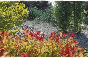 rabata kamienna z ogrodemnaty1