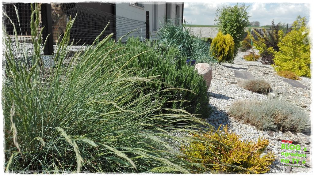 rabata kamienna z ogrodemnaty10