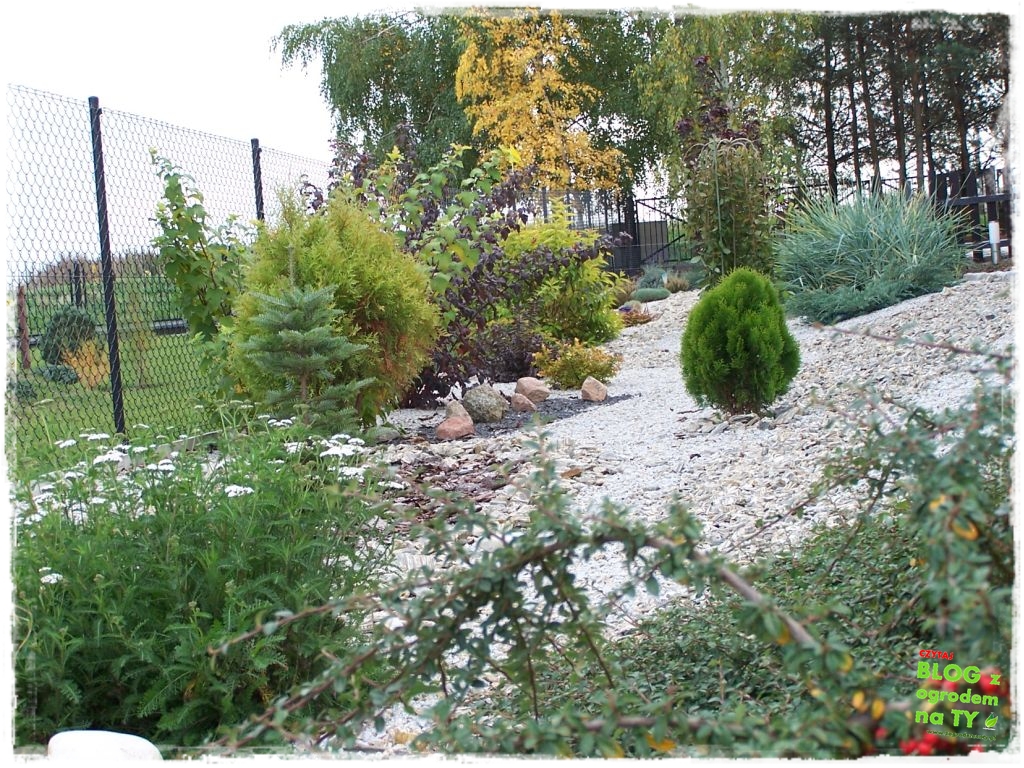 rabata kamienna z ogrodemnaty12