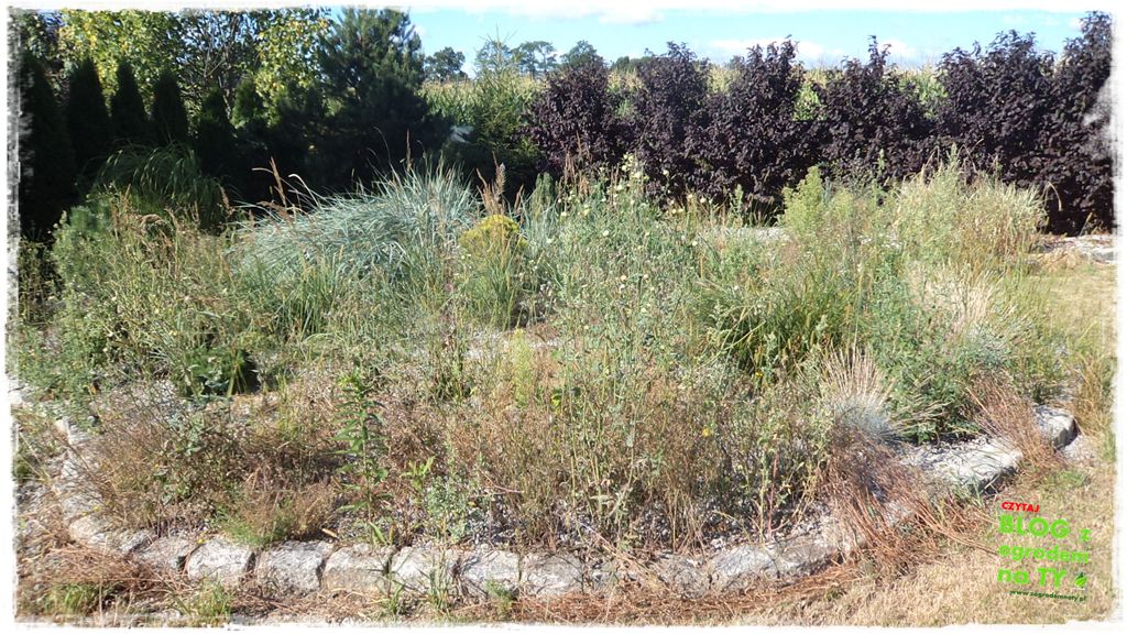 rabata kamienna z ogrodemnaty17