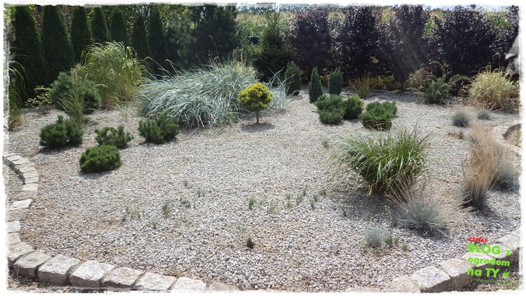 rabata kamienna z ogrodemnaty18