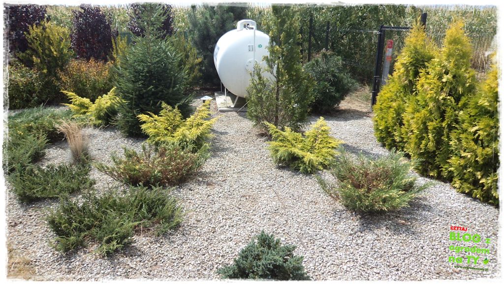 rabata kamienna z ogrodemnaty20