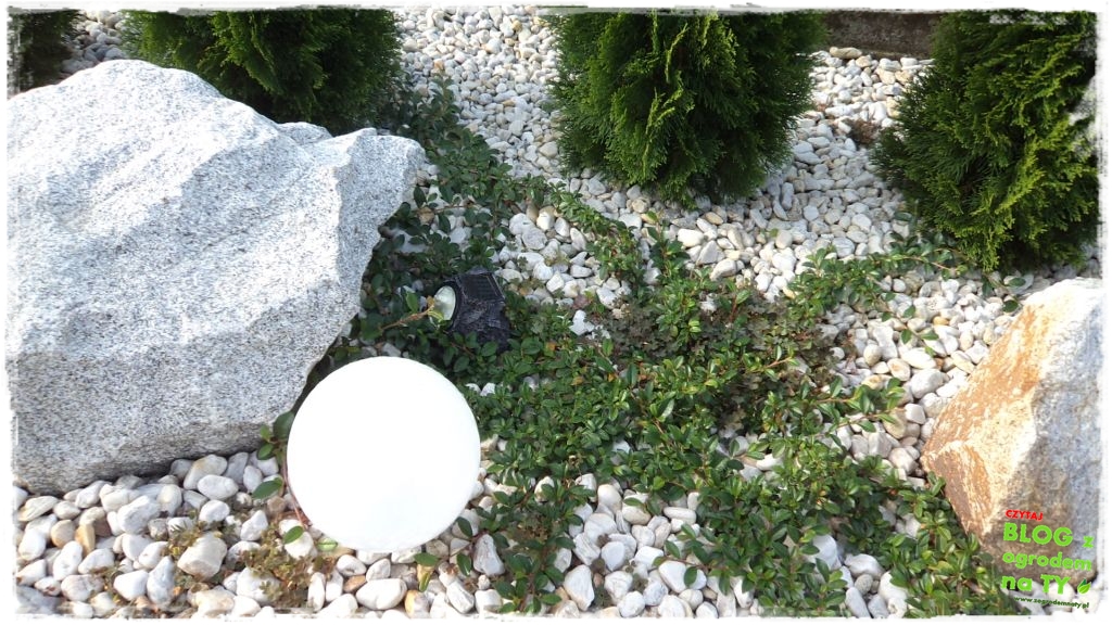 rabata kamienna z ogrodemnaty5