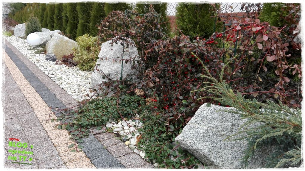 rabata kamienna z ogrodemnaty7