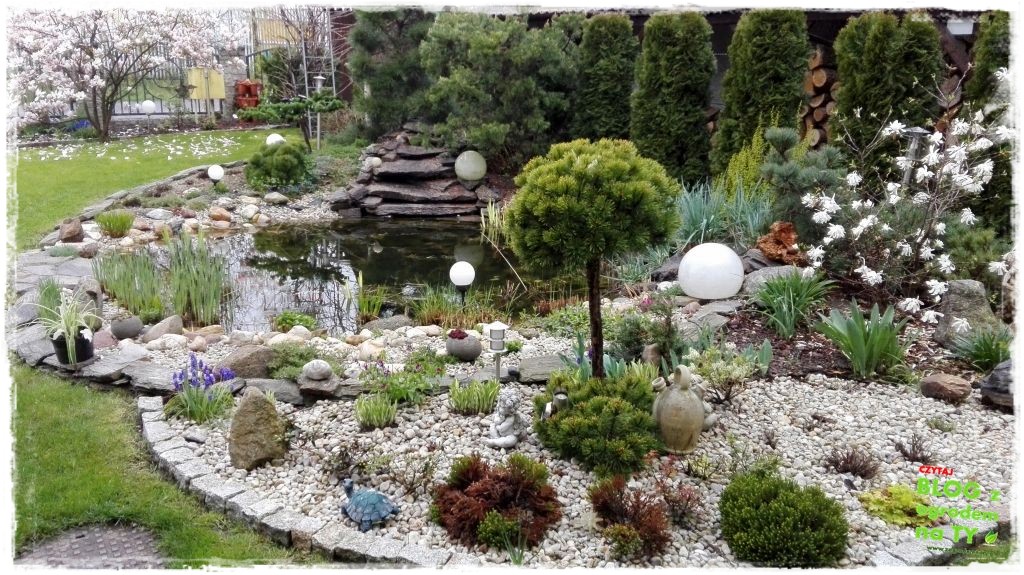 rabata kamienna z ogrodemnaty8