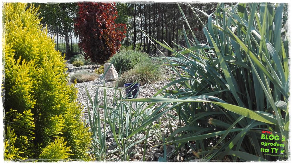 rabata kamienna z ogrodemnaty9