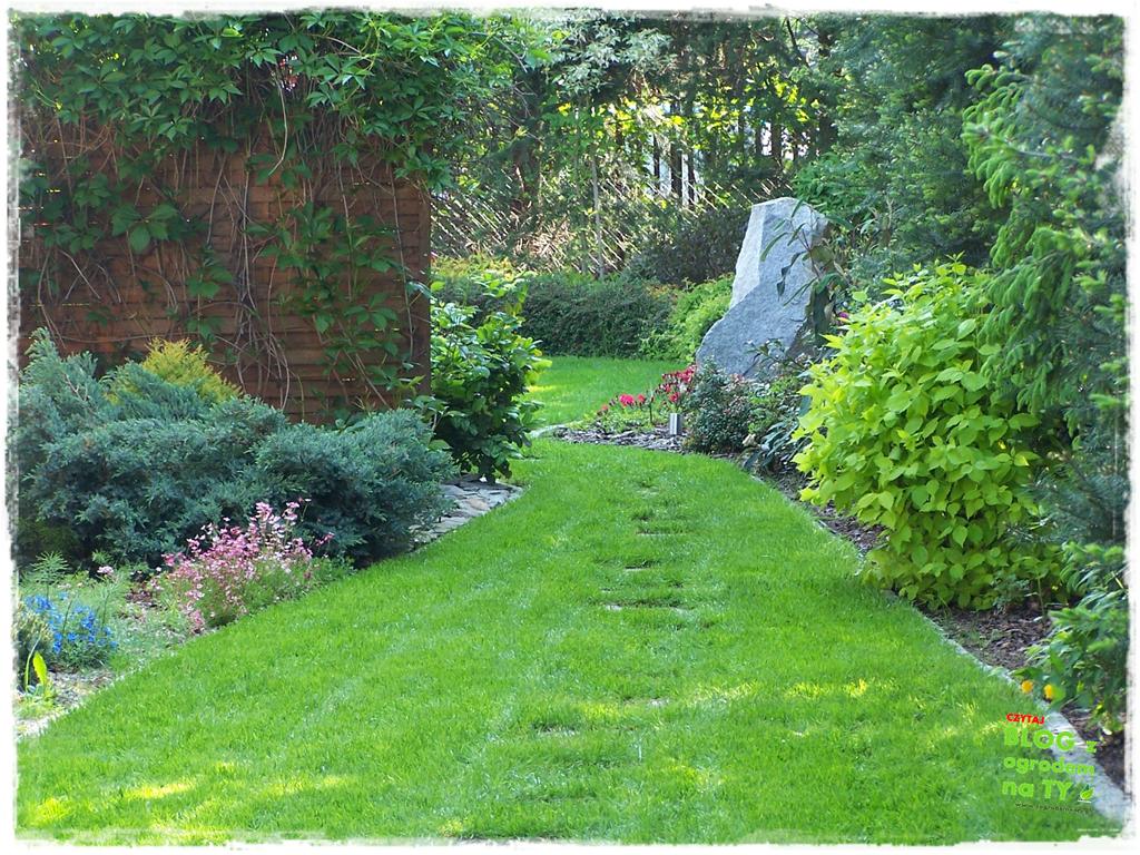 pomysły ogrodowe zogrodemnaty6