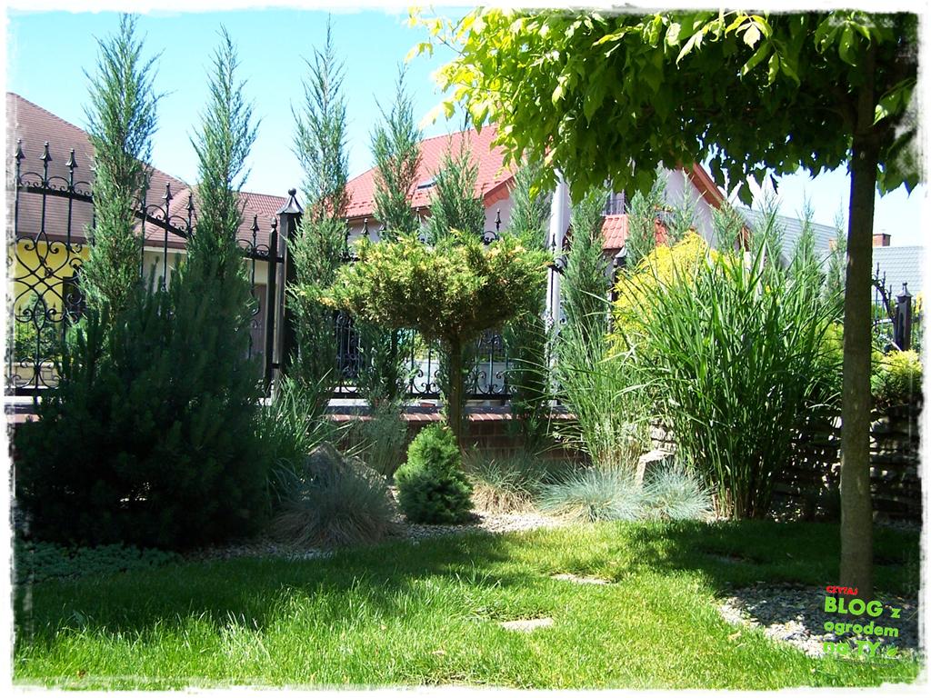 jak kosić trawnik zogrodemnaty15