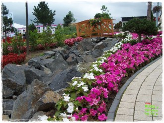 178c7c3bf3f84cdf6301095ca09d9344