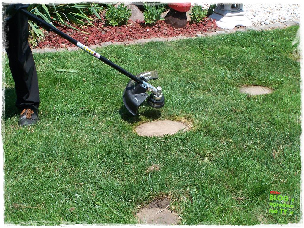 jak kosić trawnik zogrodemnaty20