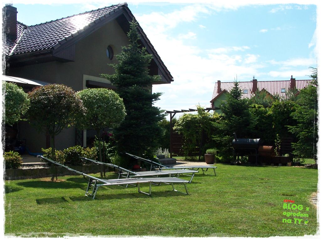 jak kosić trawnik zogrodemnaty26