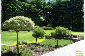 4a7c98c09e1418eafac81cb6f878bb1c