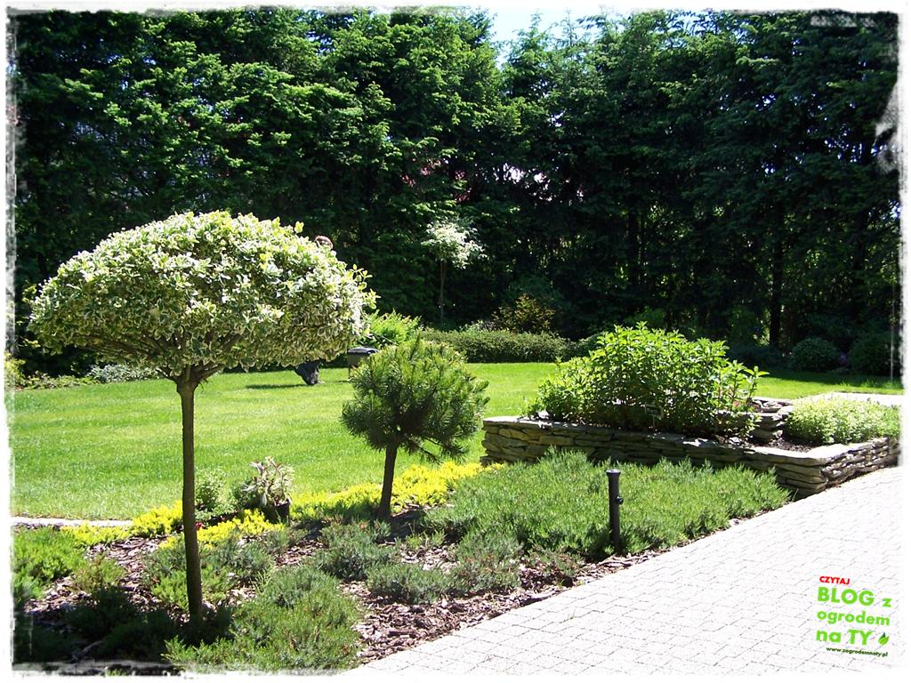 4a7c98c09e1418eafac81cb6f878bb1c