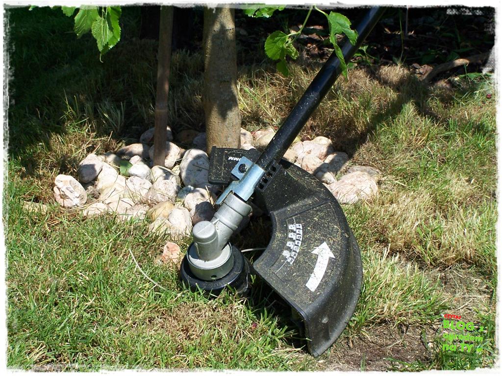 jak kosić trawnik zogrodemnaty22