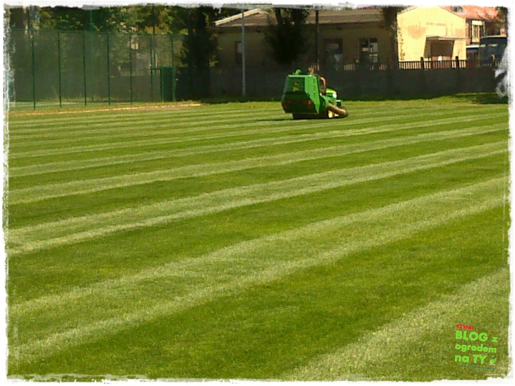 jak kosić trawnik zogrodemnaty32