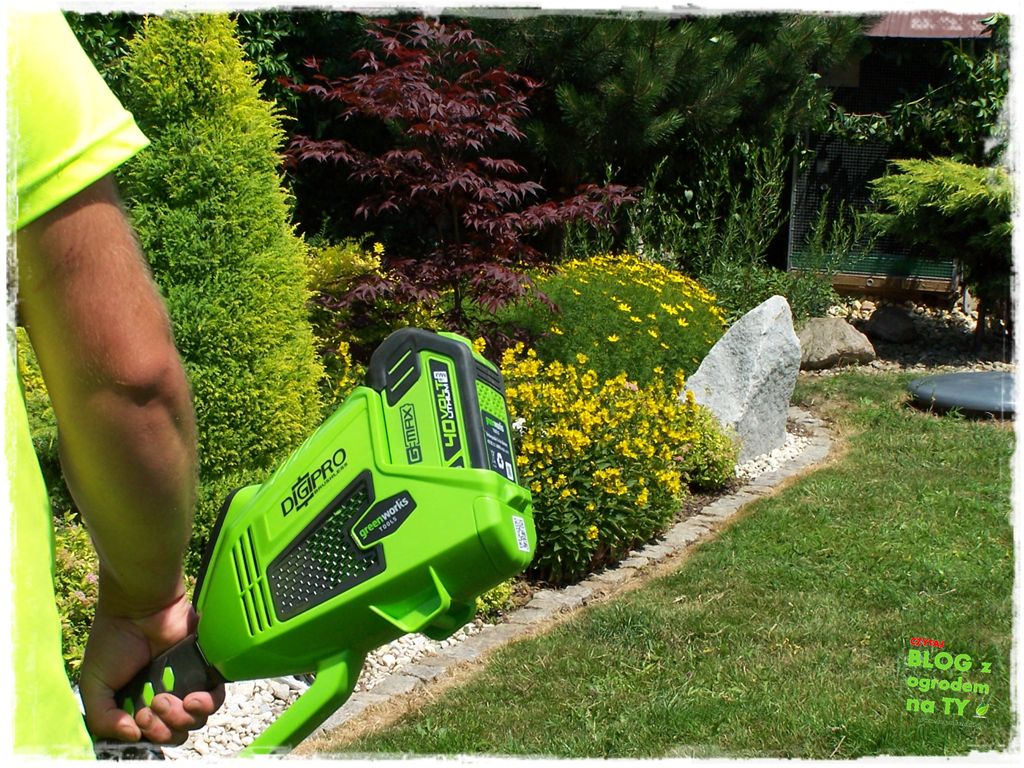 jak kosić trawnik zogrodemnaty25