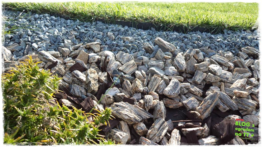 jak kosić trawnik zogrodemnaty13