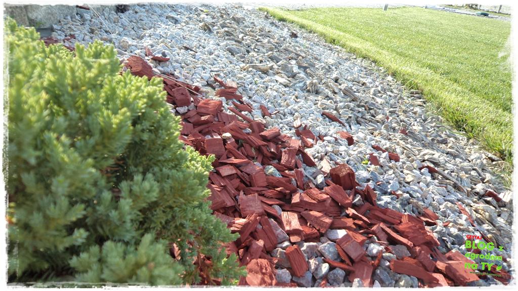 jak kosić trawnik zogrodemnaty12