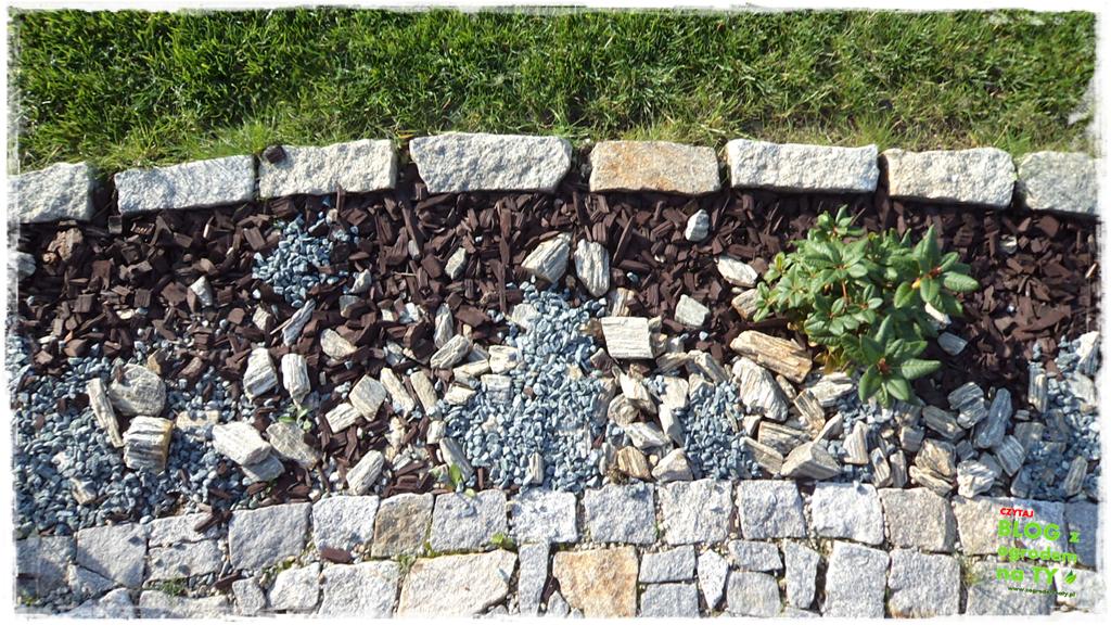 jak kosić trawnik zogrodemnaty11