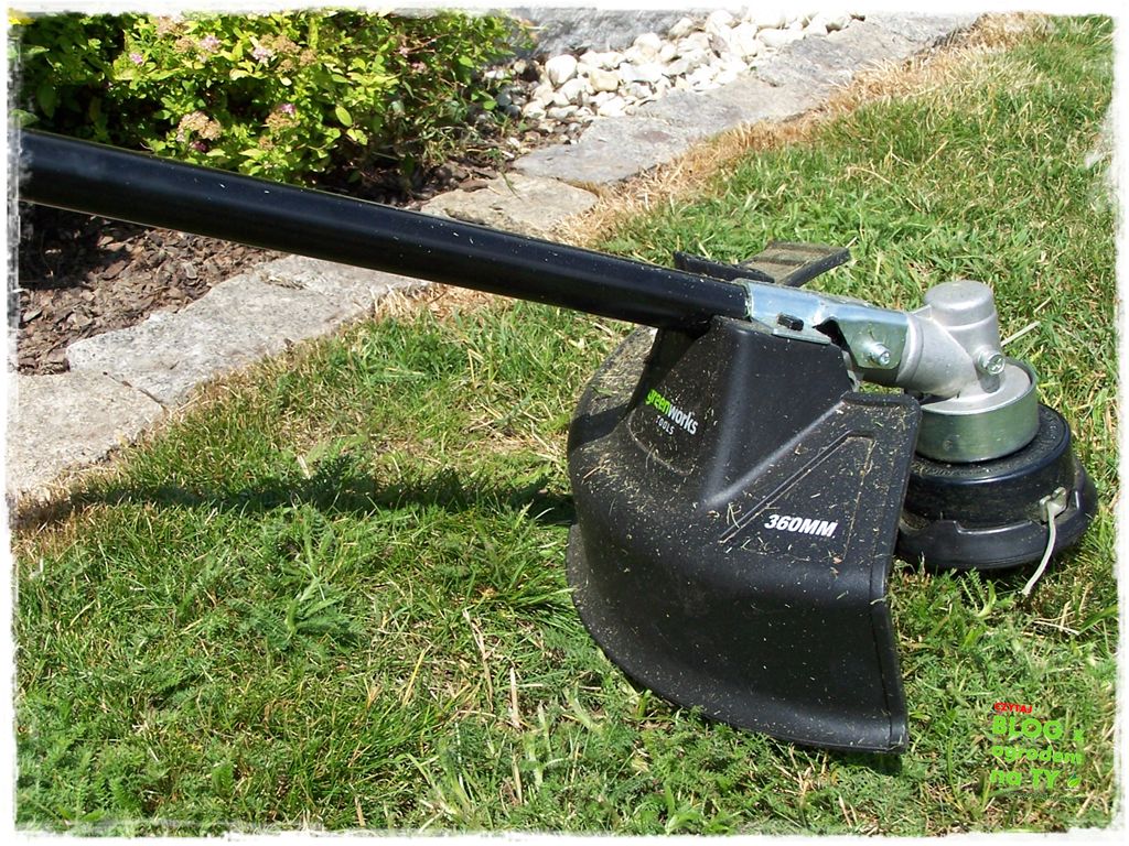 jak kosić trawnik zogrodemnaty19