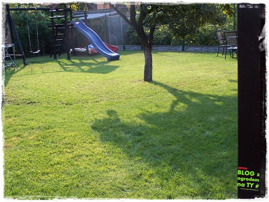 jak kosić trawnik zogrodemnaty14