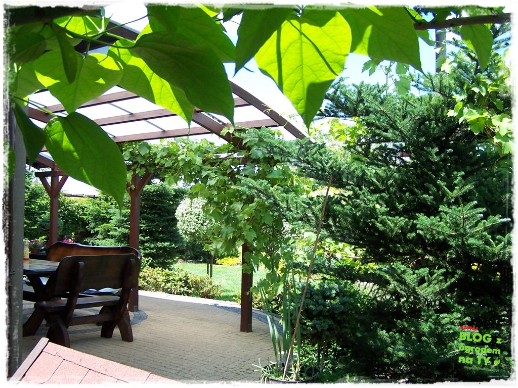 jak kosić trawnik zogrodemnaty29