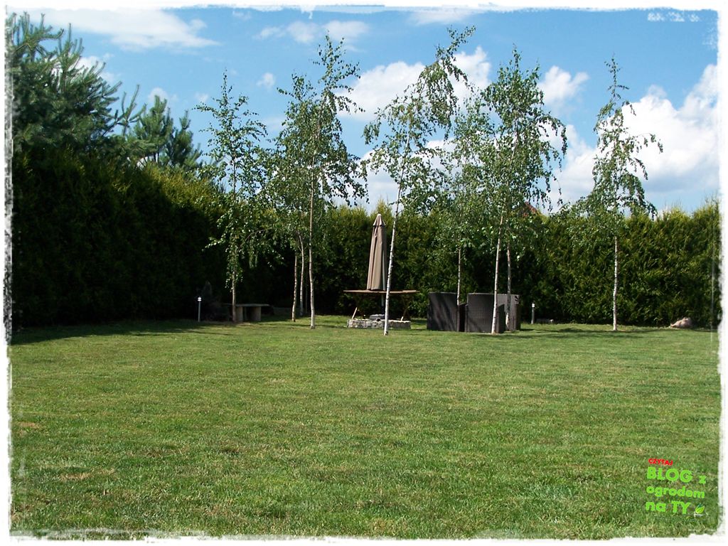 jak kosić trawnik zogrodemnaty28