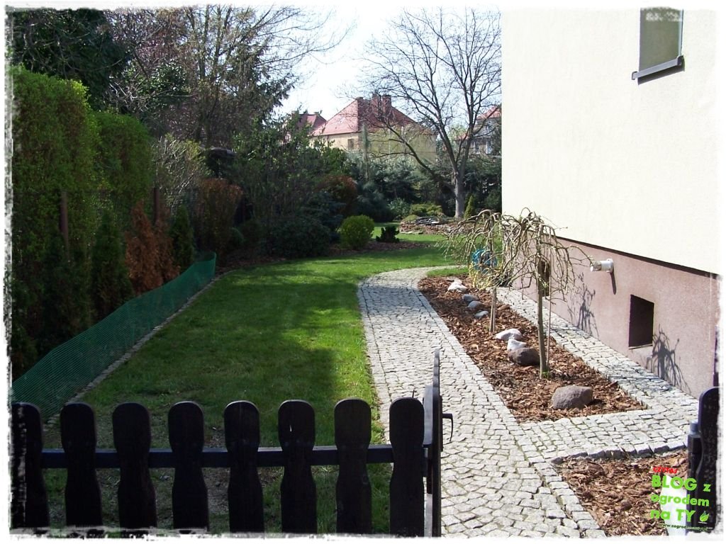 rabata w kostce zogrodemnaty11