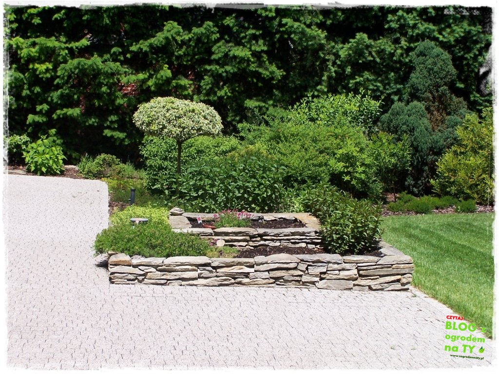 rabata w kostce zogrodemnaty12