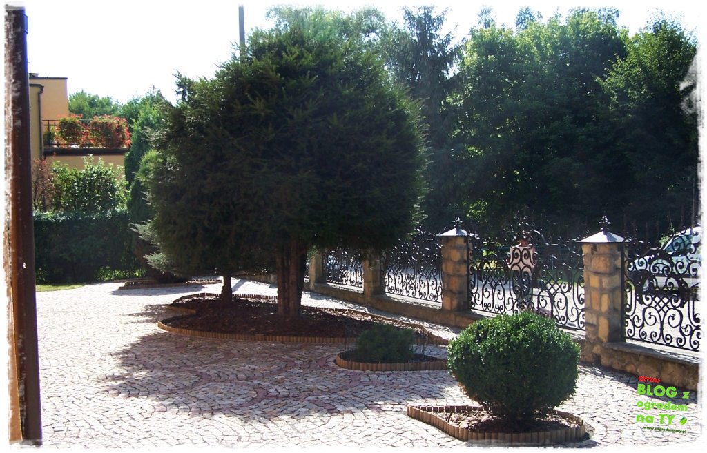 rabata w kostce zogrodemnaty3