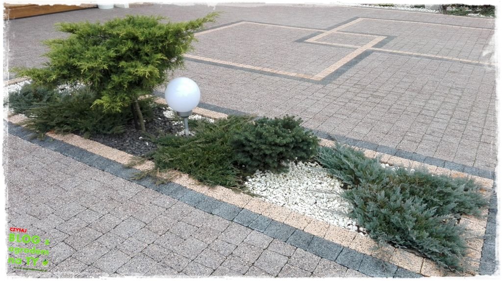 rabata w kostce zogrodemnaty6