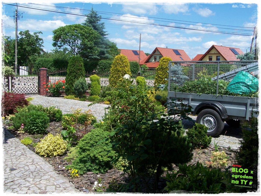 rabata w kostce zogrodemnaty7