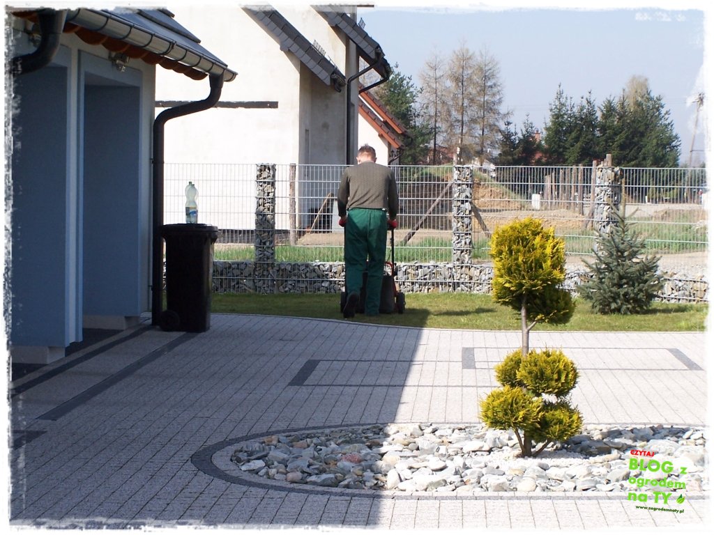 rabata w kostce zogrodemnaty8