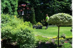 06f5d56c628295d3e72d983904dcb0e4