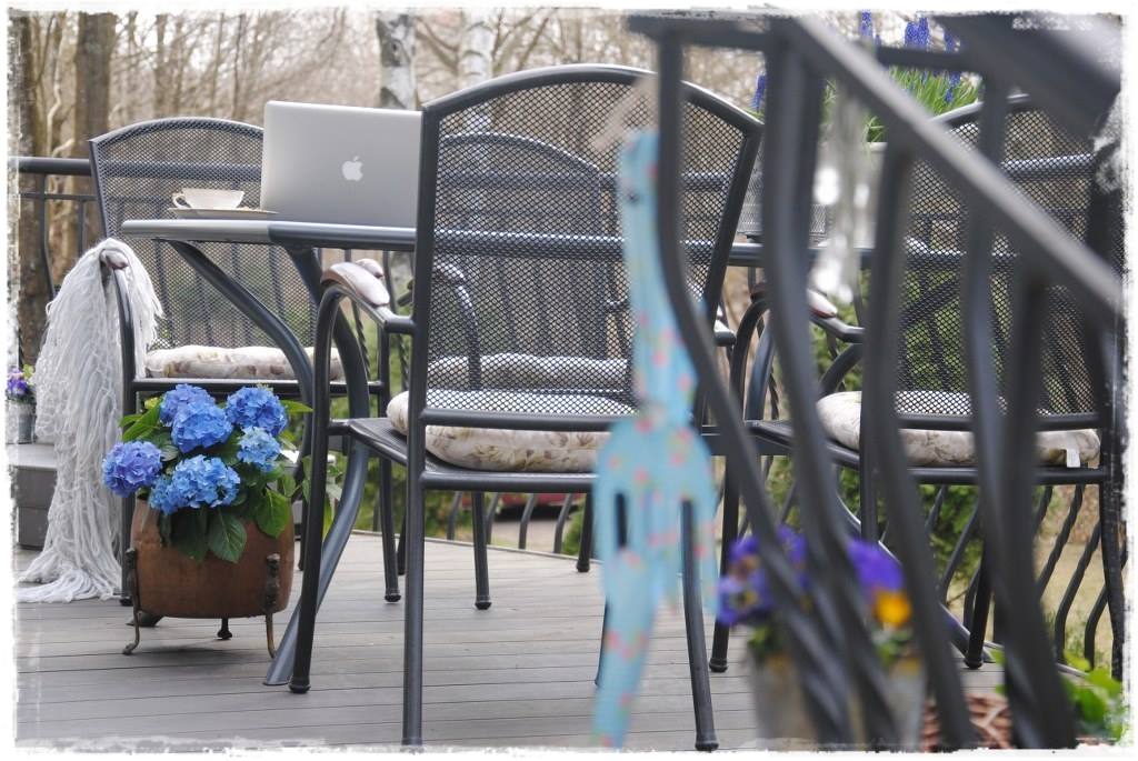 12miesiecyzogrodemnaty11