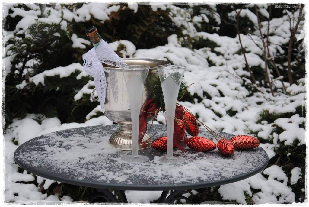 12miesiecyzogrodemnaty37