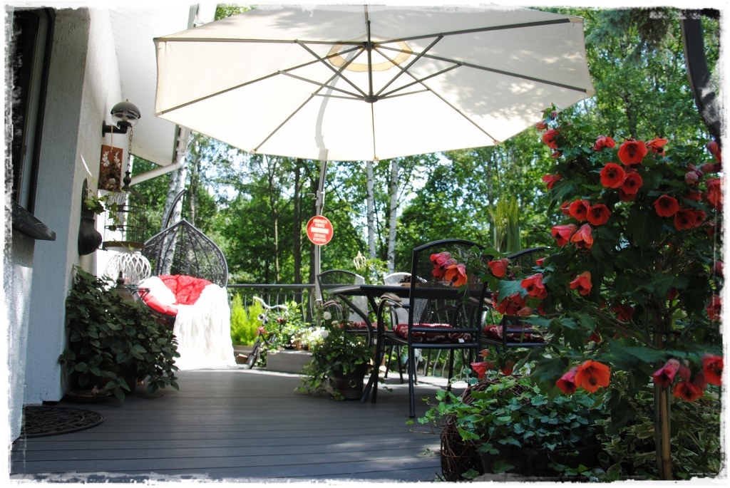 DSC_0039 (2)_1024x685